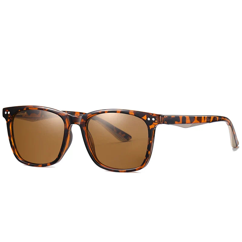 Herren Sonnenbrille | Getönte Gläser | Transparenter Rahmen | Sommer