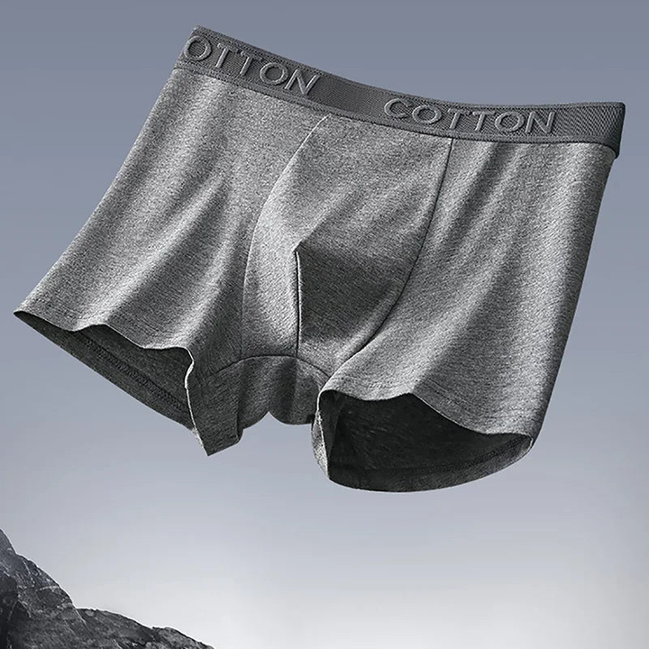 Herren Boxershorts | Slimfit | Elastischer Bund | Sommer