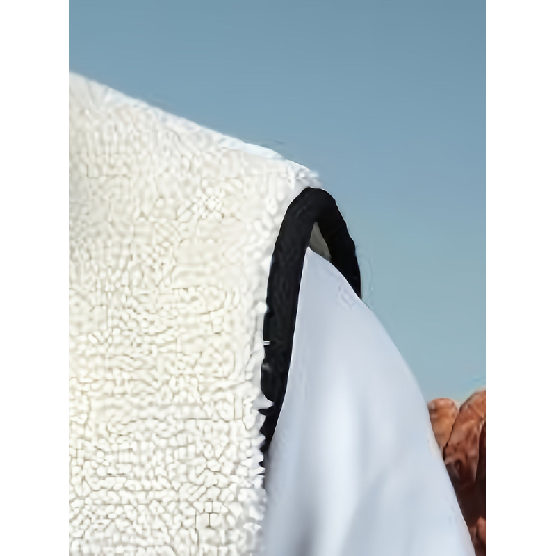 Weste Herren | Warme Weste Mit Reißverschluss | Casual Kleider